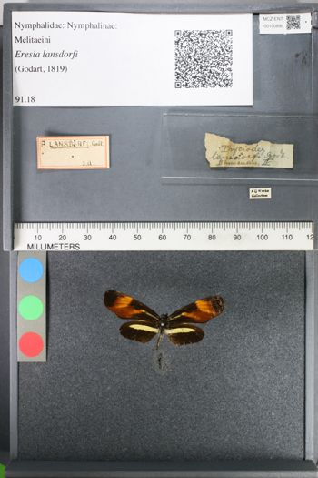 Media type: image;   Entomology 100890